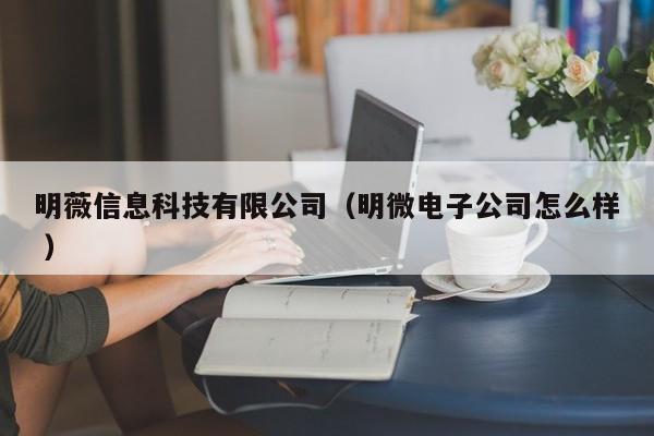明薇信息科技有限公司（明微電子公司怎么樣 ）